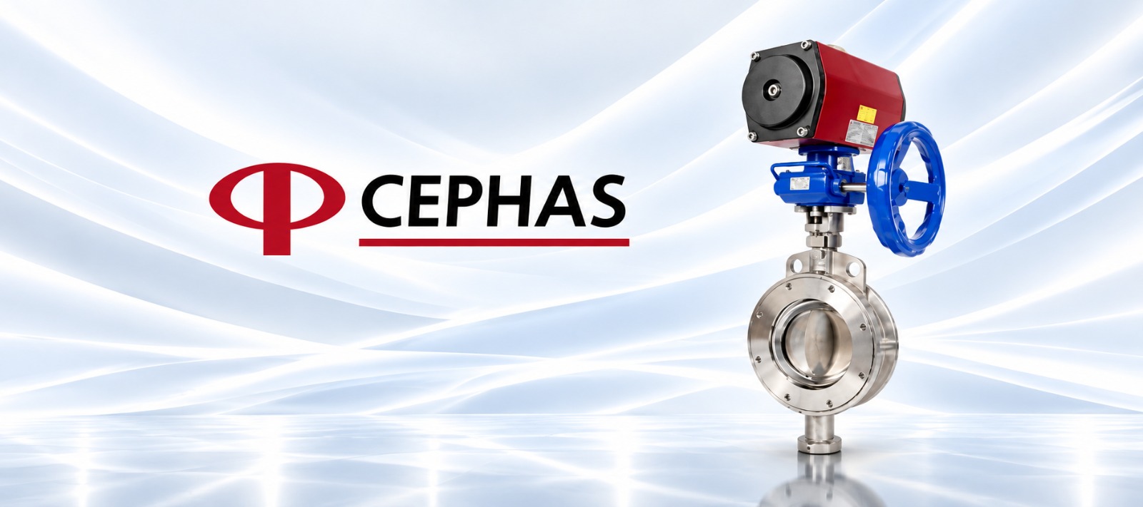 Industrial valves